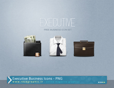 مجموعه آیکون اداری - Executive Business Icons | رضاگرافیک